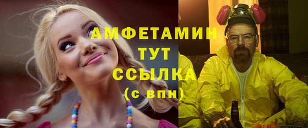 дживик Пестово