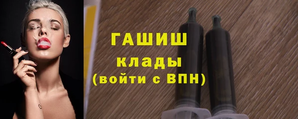 гидра Переславль-Залесский