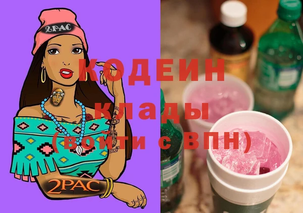 дживик Пестово