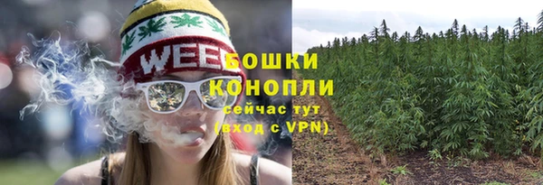 прущая мука Пересвет