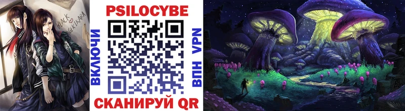 Псилоцибиновые грибы Magic Shrooms  купить  цена  Славянск-на-Кубани 